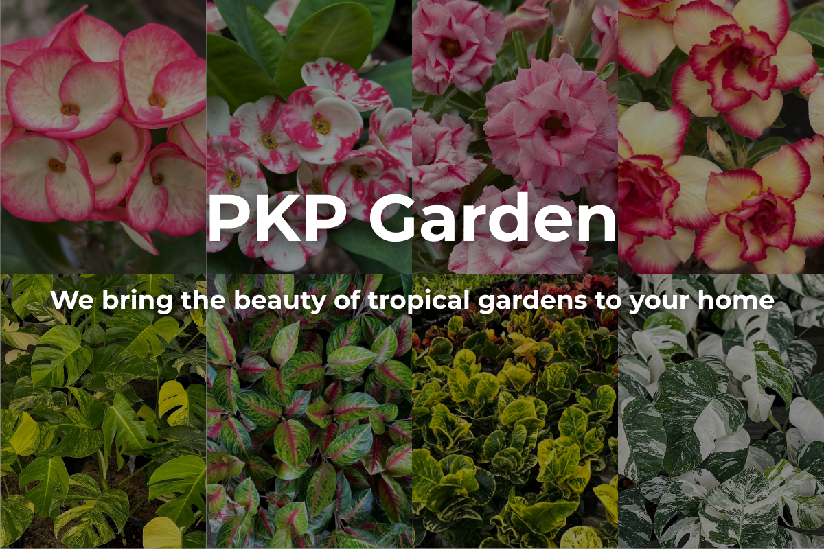 PKP Garden