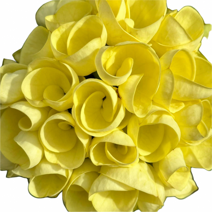Euphorbia milii - Premium Flowers - Yellow Sundae